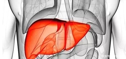 乙肝|乙肝7年,保持“3个习惯”,“彻底”告别乙肝困扰!