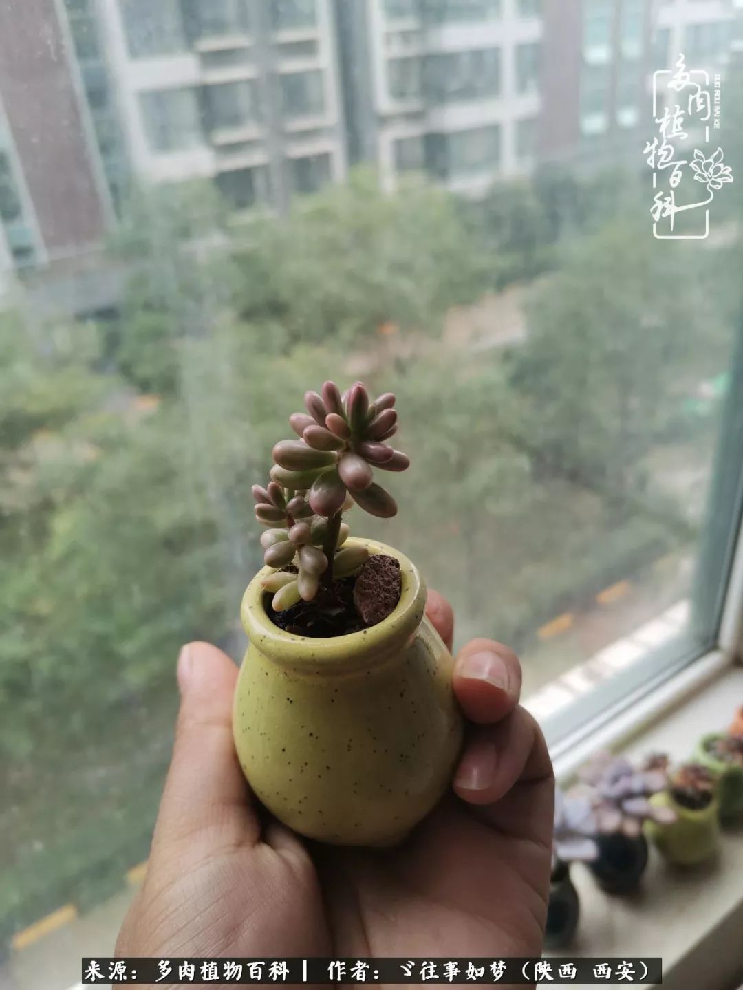 愿你付出甘之如饴,愿你所得归于欢喜!