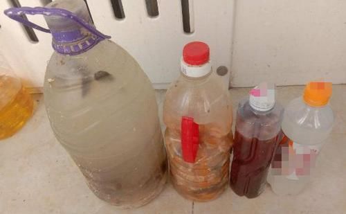 常备|家庭常备的小苏打:这么养花,好处多多,现在知道也不晚!