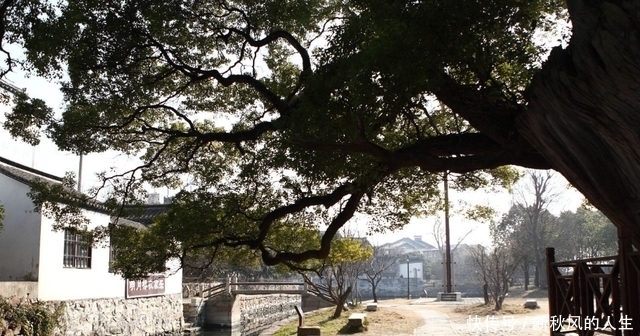 古村|江苏西山岛上的“绝美”古村，门票50元，景色不输周庄乌镇