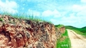 唐朝|中国历史上哪个朝代最富有?并不是唐朝