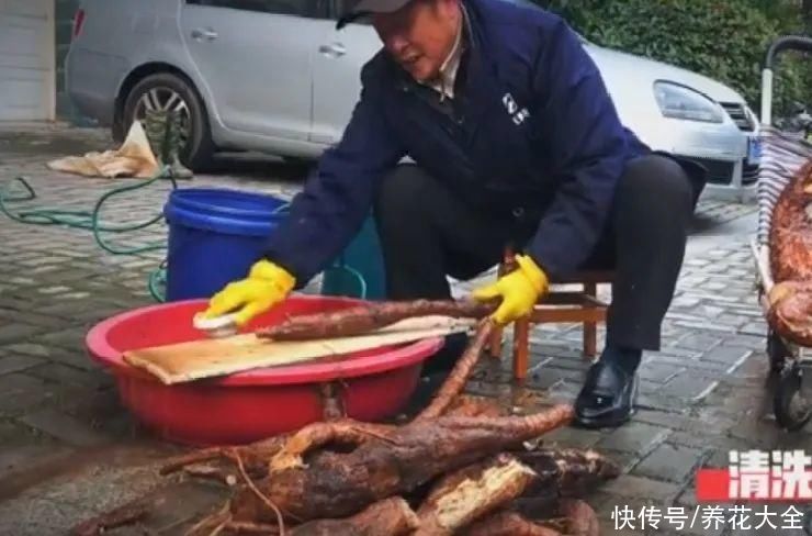 农村8种草，是“下火”药草，现在越挖越少