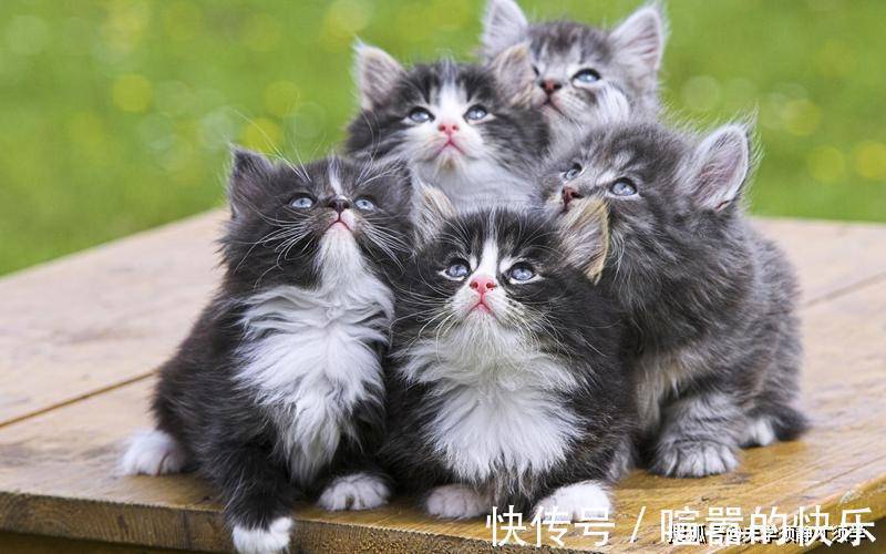 |幽默笑话:这两天感冒严重,我去医院就诊,给我输液的是一位美女护士!