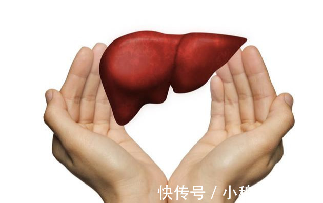 排毒|医生忠告：十个信号，提示肝可能已损伤！哪怕占一个，也不能大意