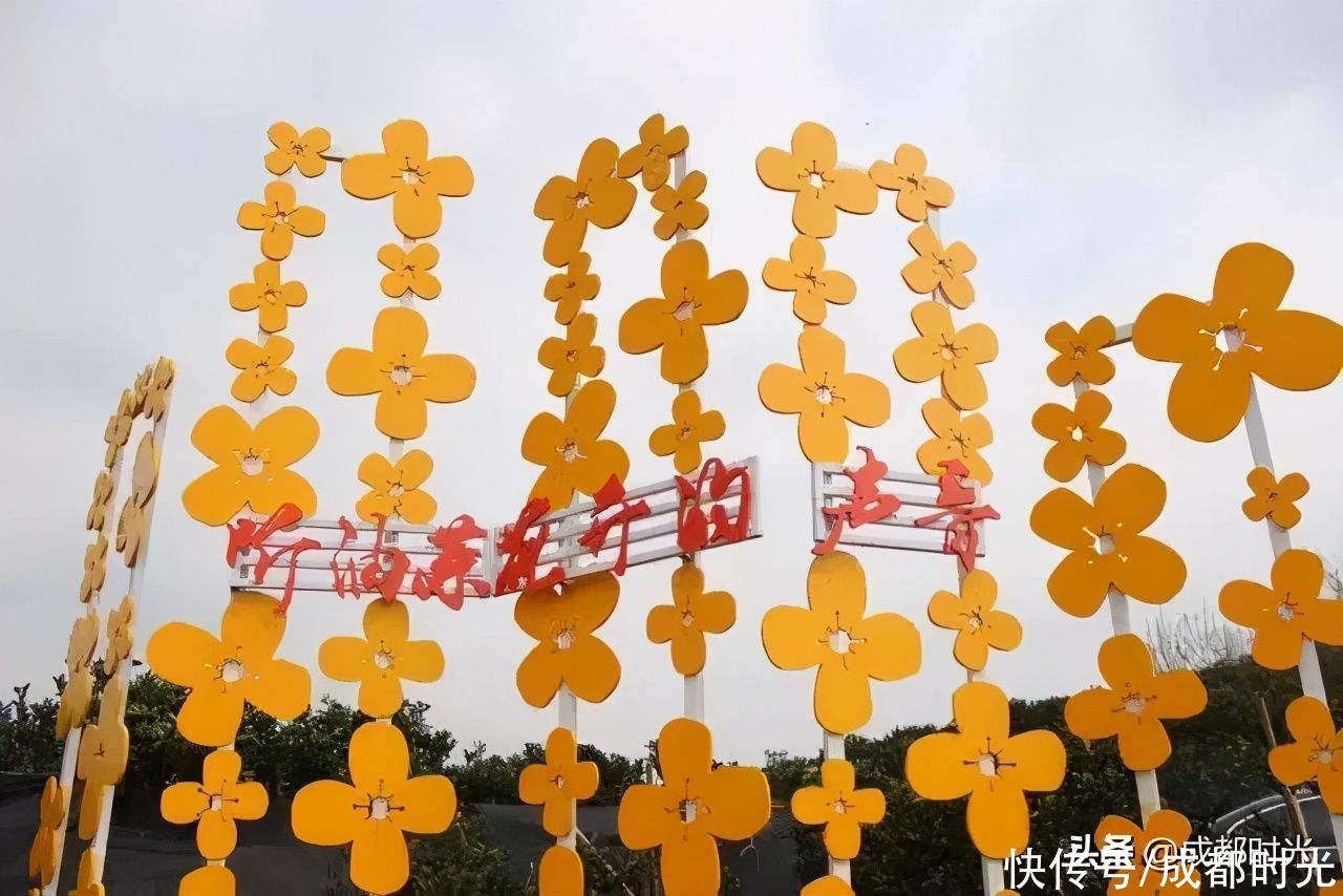 22℃的成都 7个油菜花地点 就近选择