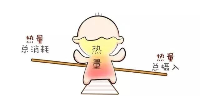 形态|关于腹部脂肪与腹肌,如何减掉一个留住一个?找对方向、重点对待