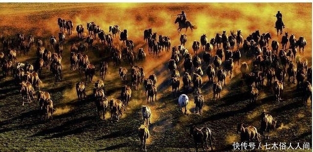 灭亡|国王想娶李世民女儿,李世民向国王要了哪四种动物?导致此国灭亡