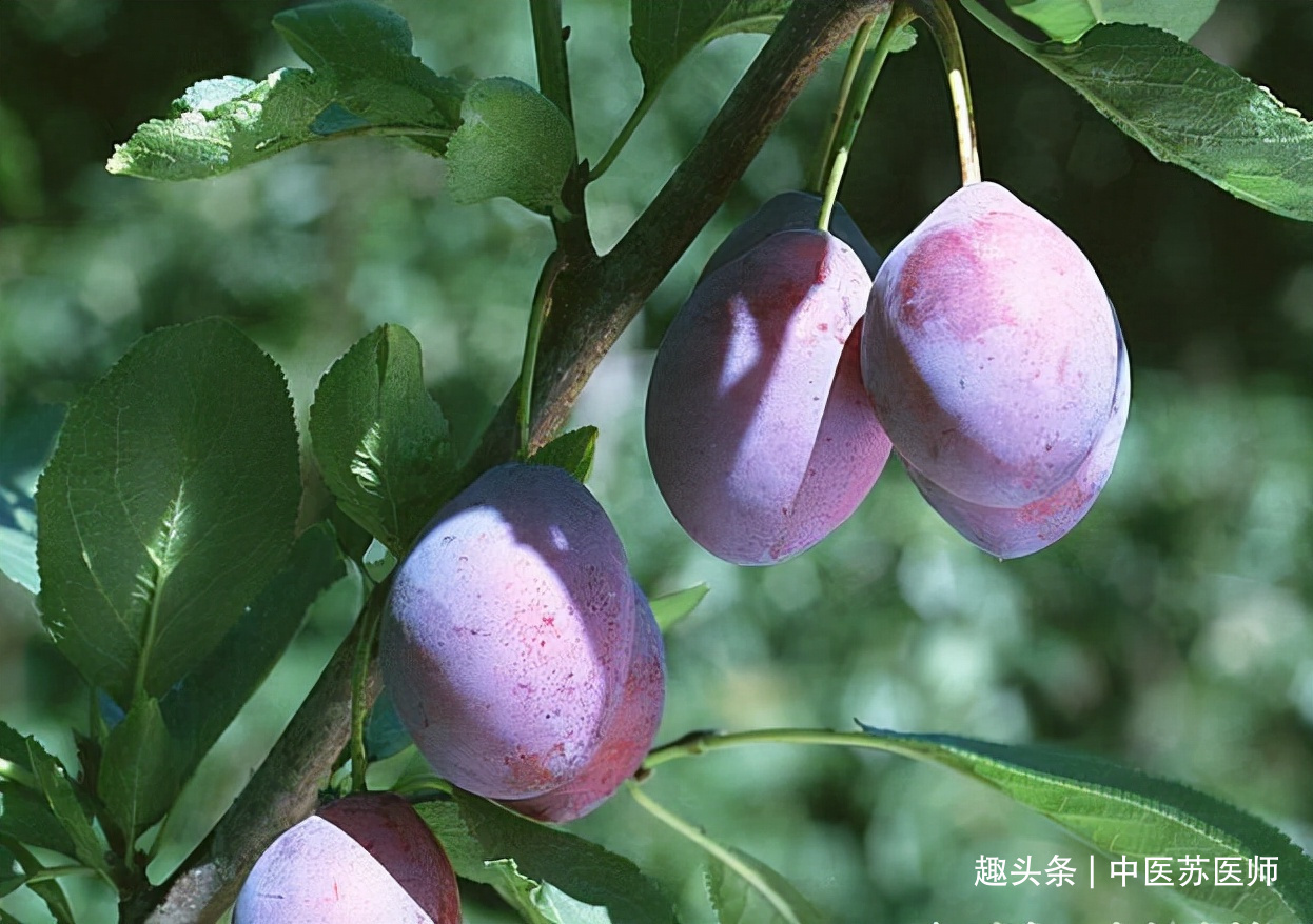 排毒养颜|女性中年身体好,三种食物坚持吃,排毒养颜,营养瘦身,越吃越好