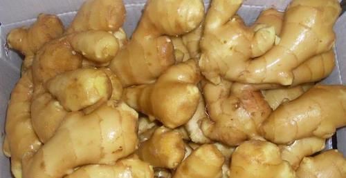 生姜保鲜不要总给冰箱放，老农民的土方法，随吃随取，特别新鲜