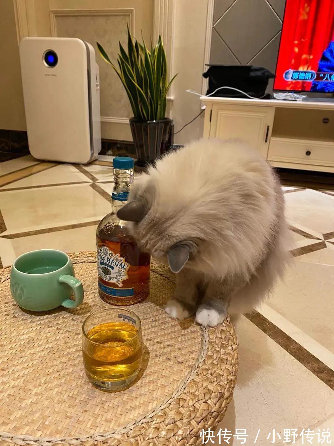 |周四的一个笑话