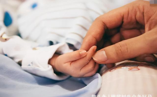 钟女士|“怀孕后要不要辞职?”成准妈妈纠结难题,过来人经历值得参考