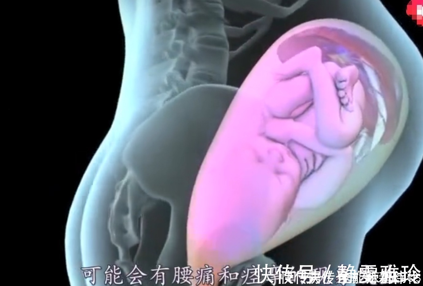 假性|顺产宝妈要经历多少“崩溃”时刻?4张图带你还原生命奇迹