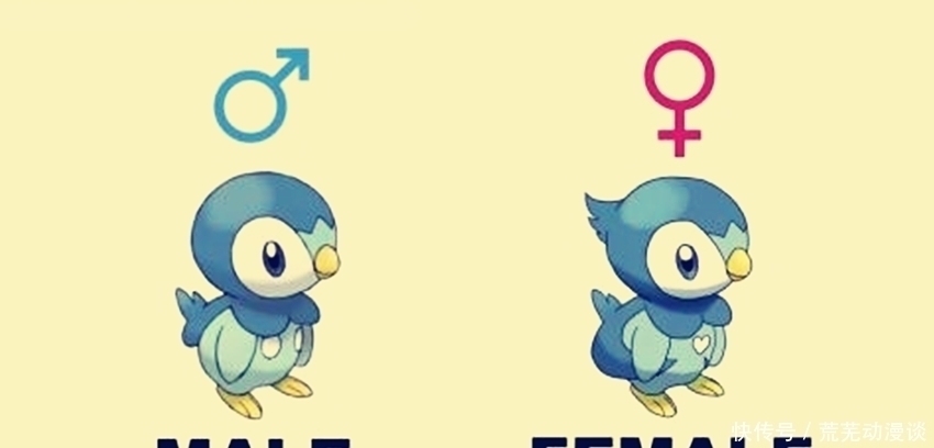 宝可梦御三家全部形态