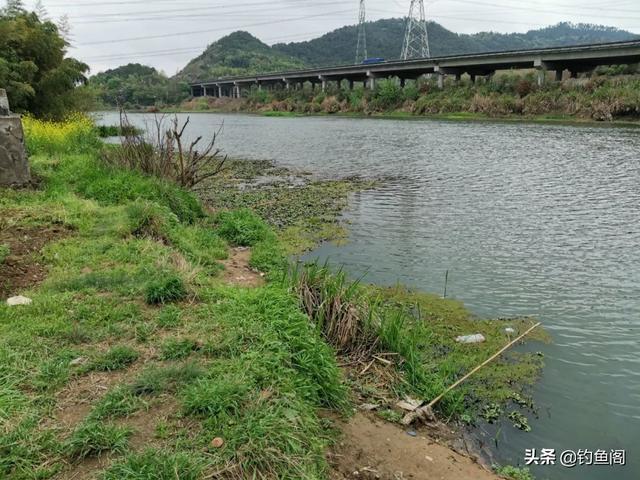 锅底型|一到中午就停口该怎么办频繁补窝是下策，教你一招打开鱼口