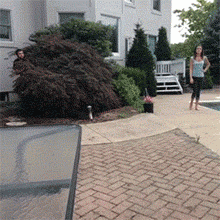 |搞笑GIF:据说看不懂的都是纯洁的好孩子