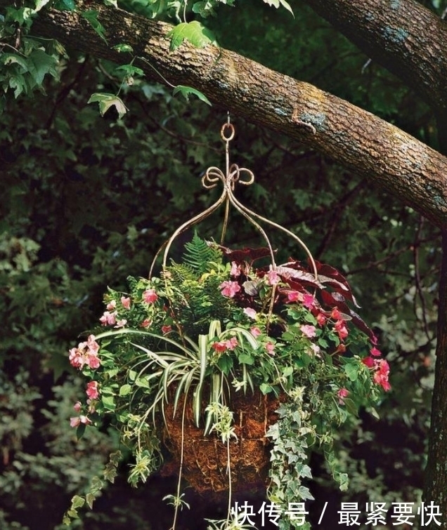 任何容器都能用来做花盆，请收好这30种美丽的花盆搭配设计