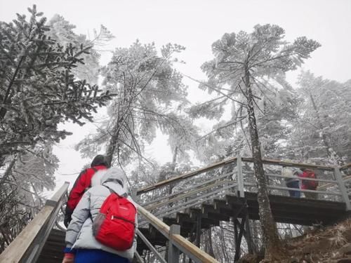 轿子|说走就走！快去轿子雪山与神奇的雾凇同框！