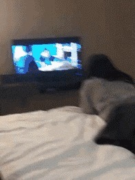 |搞笑GIF趣图乐极生悲啊,好想知道这局怎么算!