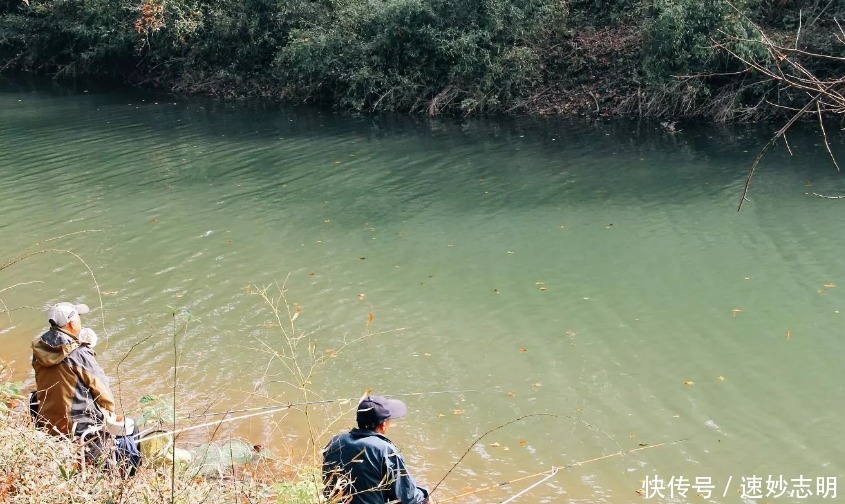 春钓浅滩?非也?老司机倾囊相授:这几个地方或许更藏鱼,莫不信