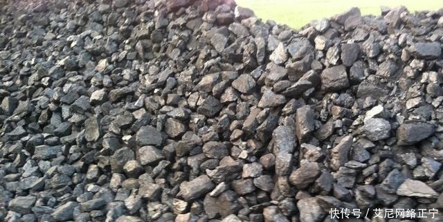 营养土还在花钱买?几种东西“掺一点”,土壤“肥得流油”!