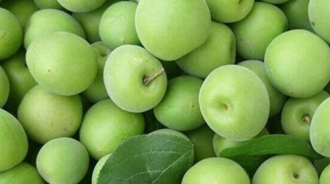 肝脏|女性睡觉前当零食吃几颗,一个月下来,肝脏干净了,还越来越年轻