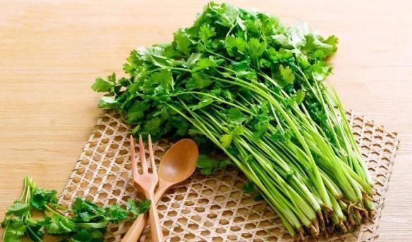 阳台种上“4种菜”,长得快结果多,吃了一茬又一茬,懒人必选