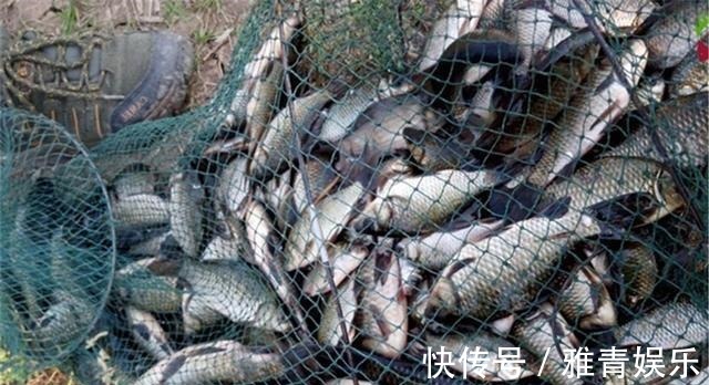 钓鱼|深秋钓鲫鱼,4钓4不钓,只要方法得当,半斤以上大板鲫连竿上