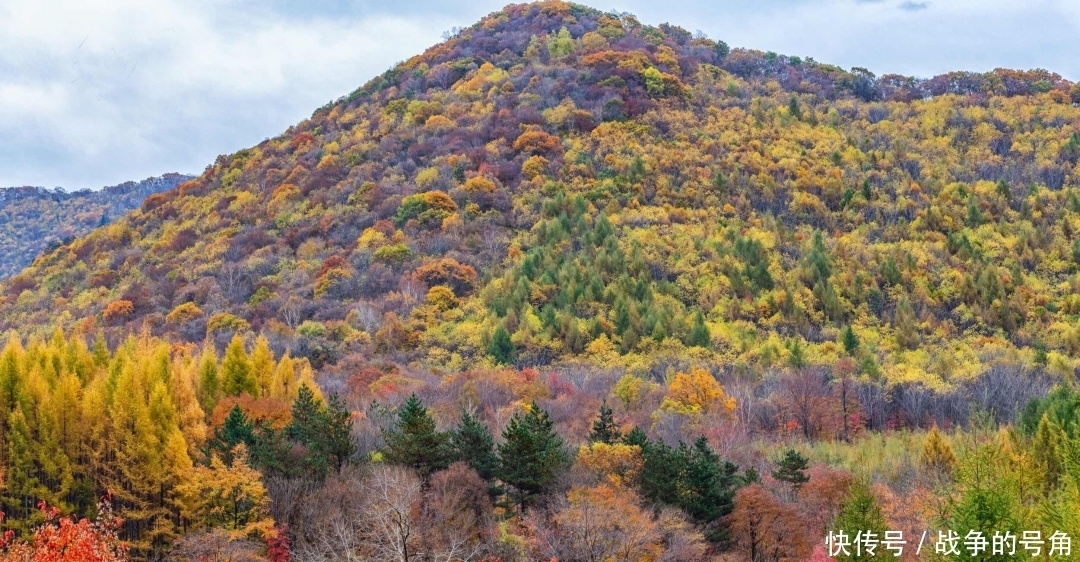 不止|看红叶不止香山，国内3个小众红叶观赏地，从北到南你去过几个？