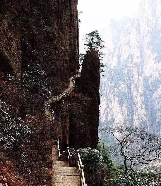 传来|太美了,世界照片今天终于传来,罕见至极,一睹为快