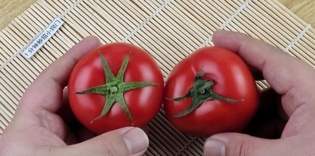 买西红柿,挑选6片叶还是5片叶的菜农挑错了,又硬又柴还难吃