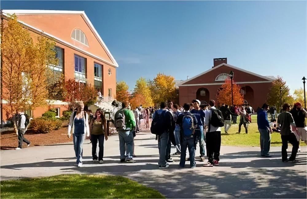 识别|如何识别美国的“野鸡大学”