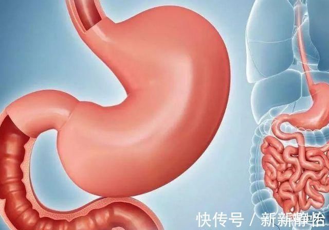 肠胃疾病|医生：胃不好，少吃这几种食物，常喝1种茶，可以养胃护胃