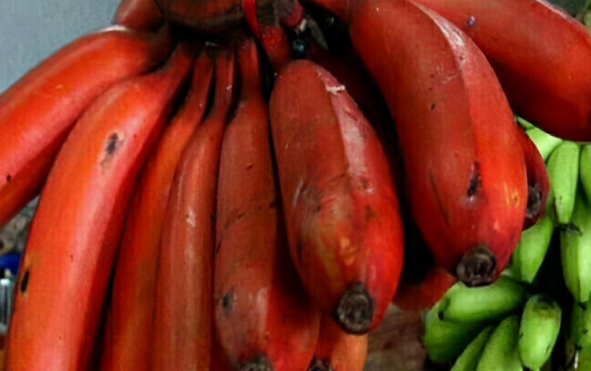 健康|中年人要学会吃3种食物,抗衰老,排毒素,血管更通畅