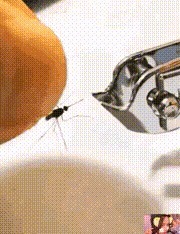 |搞笑GIF：小伙子，你这是看到什么了？笑得这么大声