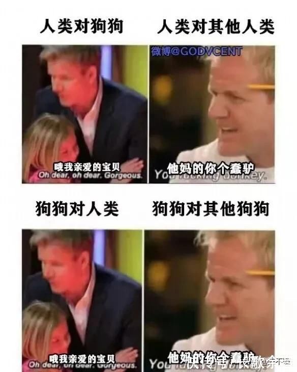 |搞笑：老鼠的口味是越来越刁了