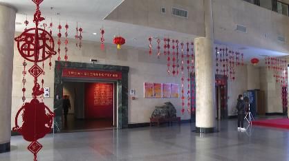 花开|迎春花开 欢度安静祥和年