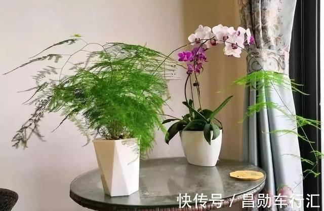 养花不会浇水吗?“六大口诀”记心间,养啥都能长得旺