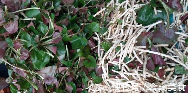 阳台种了“狗狗菜”，有人爱极了有人受不了，其实价值高应该多吃