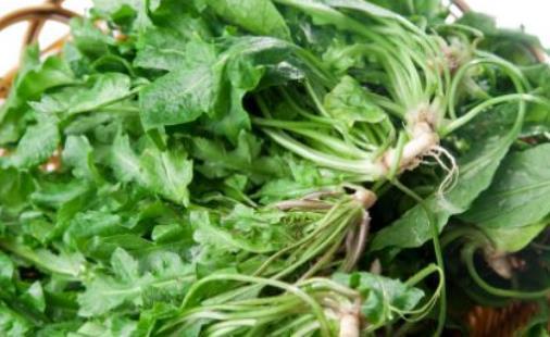 此物适合女性吃,皮肤更细腻,子宫越吃越干净,赶走大肚腩!