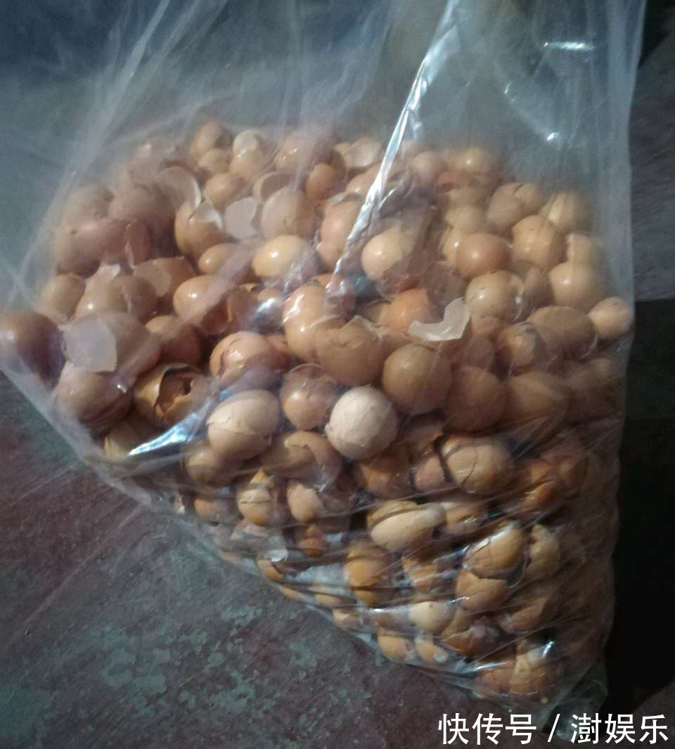 花盆底|人见人烦的“东西”,却是养花“宝贝”,养啥旺啥,土壤肥沃疏松