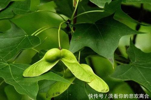 寿命决定期|“寿命决定期”就在60岁若老人有这5大“喜好”,不想长寿都难