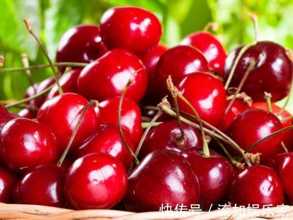 4物|女人怀孕后,老公要舍得给孕妈买4物吃,或对孕妈和宝宝都有好处