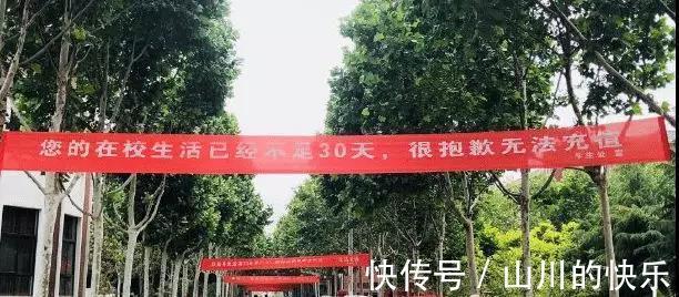 |幽默又搞笑的大学校园横幅，你见过吗？