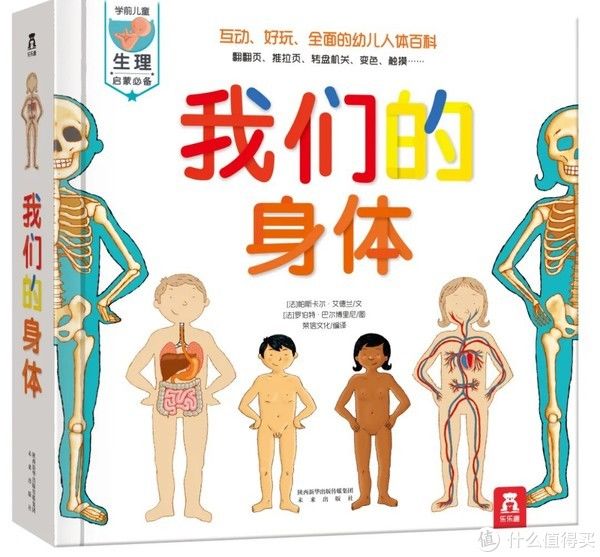 青春期|木子育儿 篇二十五:给孩子的性教育怎么做?家有女孩建议备上这些书籍