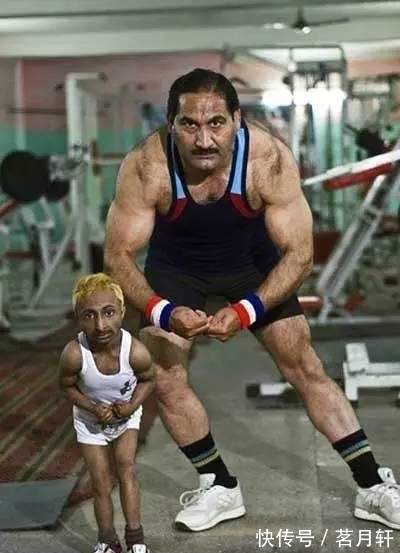 健美先生|世界上最小个的健美先生 身高85厘米体重仅20斤