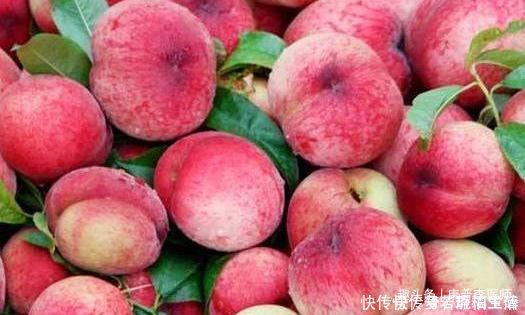 改善便秘|对身体很好的食物,建议要常吃,清热润肺,改善便秘,越吃越年轻