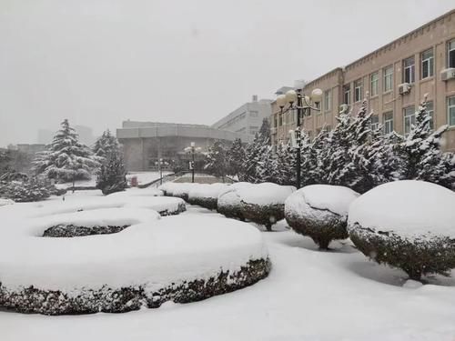 唯有雪花真绝色，飘落时节动师大