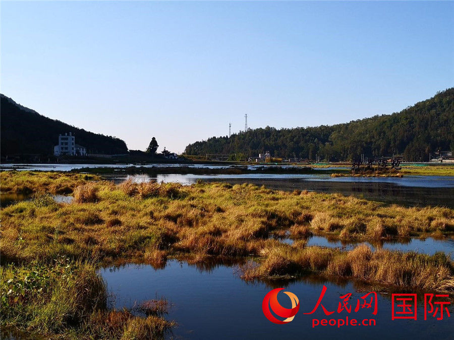 保护区|北海湿地保护区，一座神奇的“水上草原”