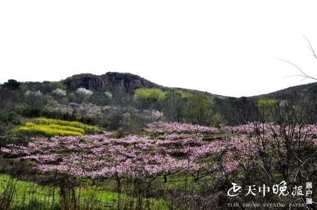 山清水秀 桃红柳绿 无限春光风景这边独好