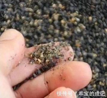 山药|入秋以后，吃这些食物，补一补被夏天掏空的身体！